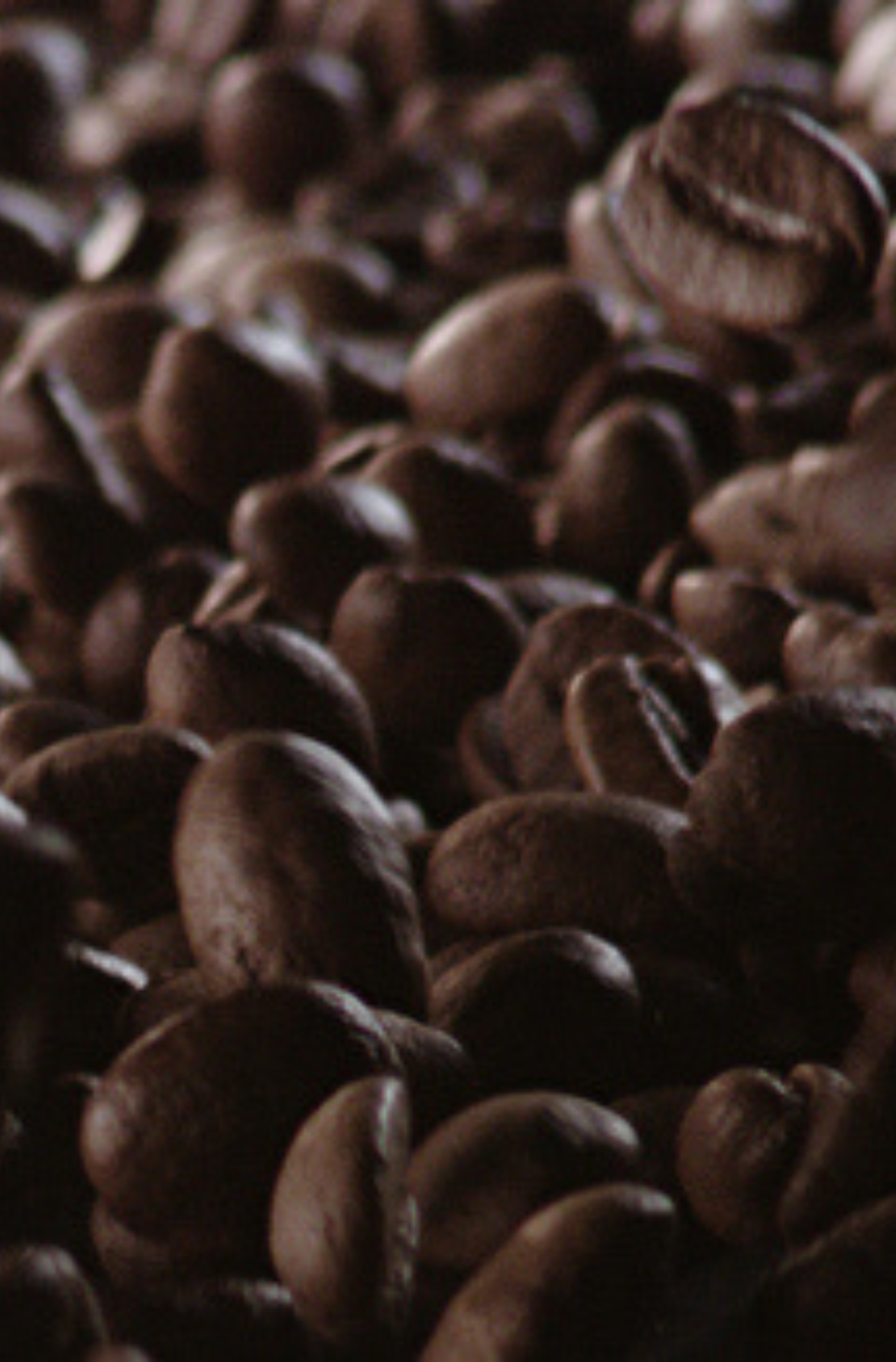 DK-coffeebeansourcing