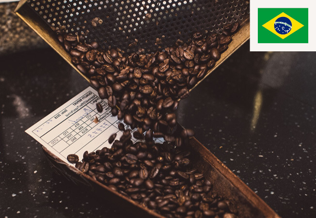 Kaffebønner i en bakke med brasiliansk flag i højre hjørne