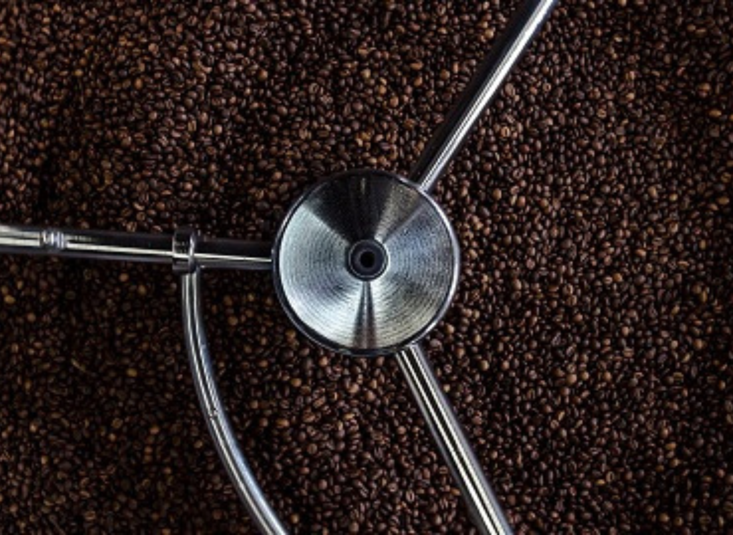 Kaffebønner ligger i en kværner set oppefra.