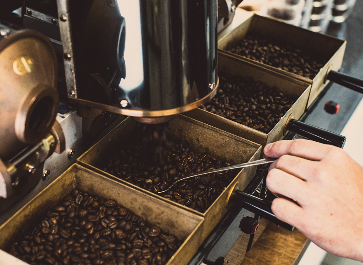 Kaffebønner ligger bokse side om side