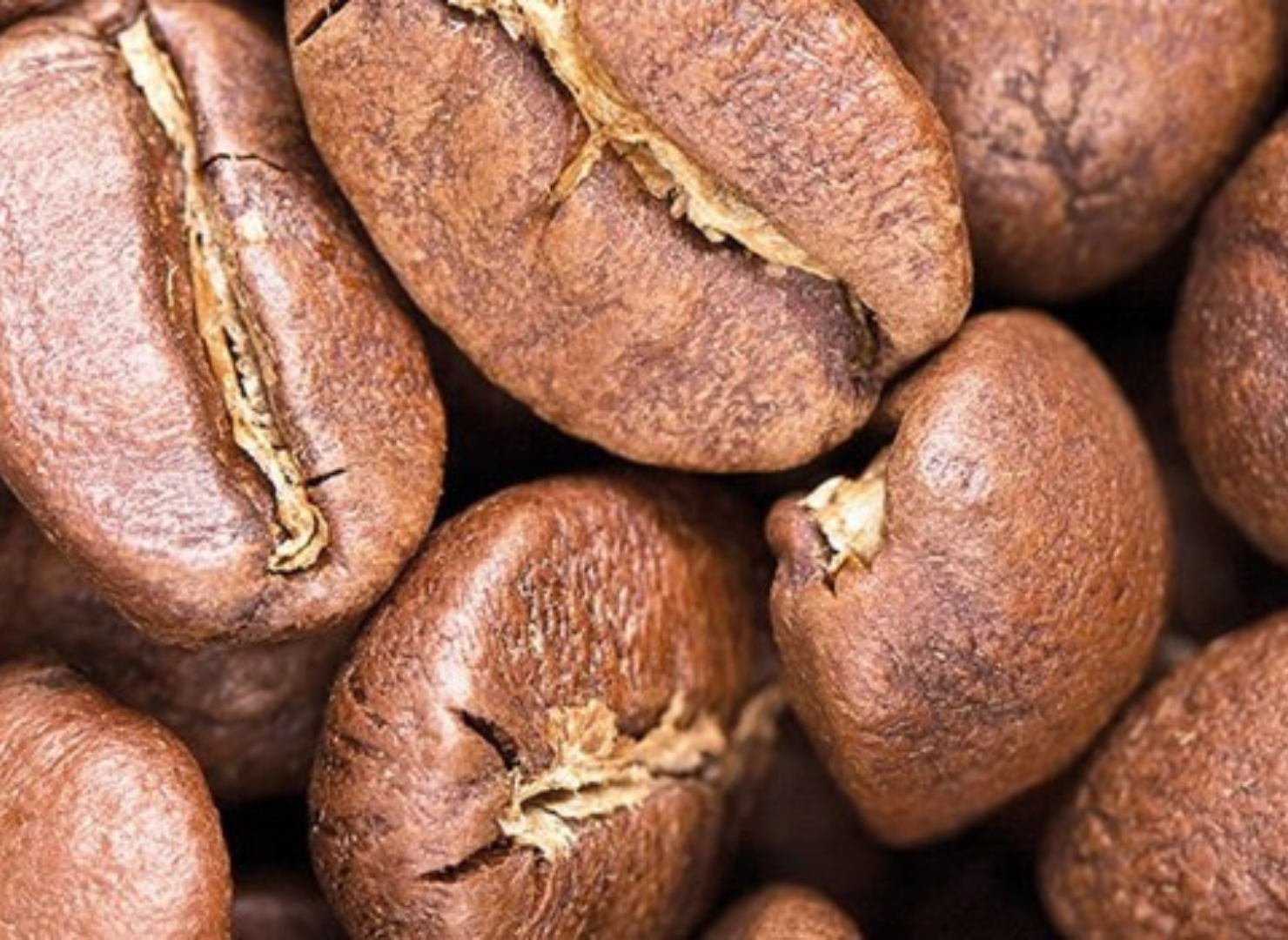 Lysristet kaffebønner