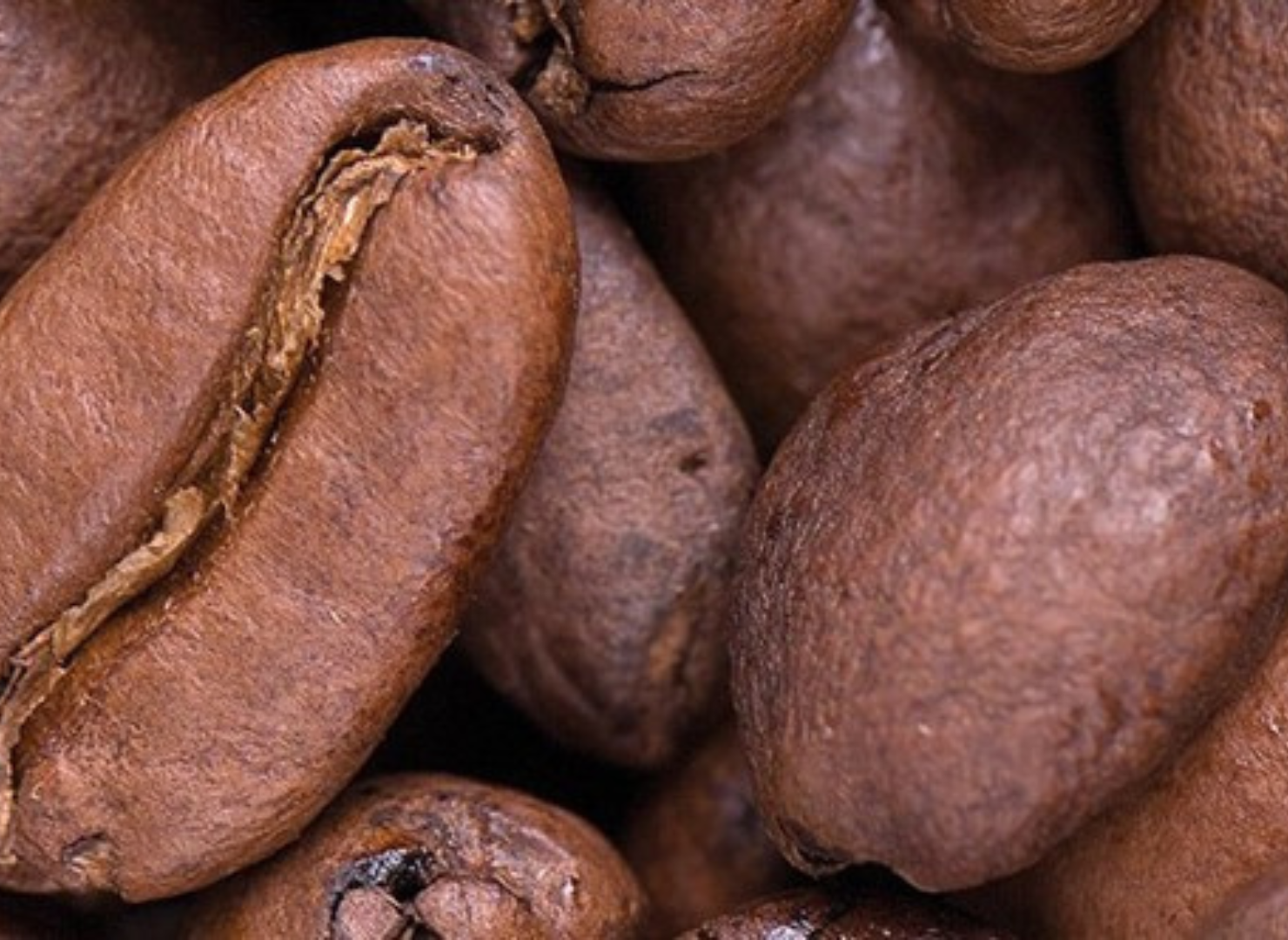 Mellemristet kaffebønner